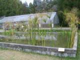 113-1372_IMG.JPG