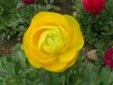 113-1381_IMG.JPG