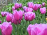 113-1383_IMG.JPG