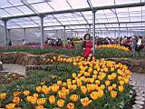 114-1401_IMG.JPG