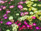 114-1404_IMG.JPG