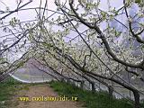 114-1431_IMG.JPG