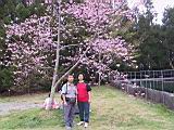 114-1460_IMG.JPG