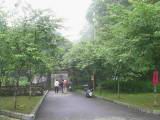 132-3236_IMG.JPG