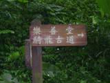 132-3239_IMG.JPG