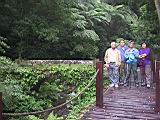 132-3241_IMG.JPG