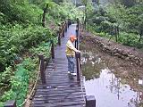 132-3243_IMG.JPG