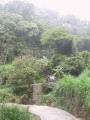 132-3247_IMG.JPG