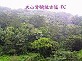 132-3251_IMG.JPG