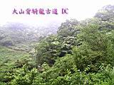 132-3252_IMG.JPG