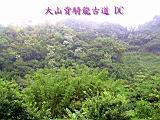 132-3253_IMG.JPG