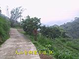 132-3254_IMG.JPG