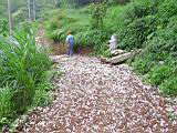 132-3255_IMG.JPG