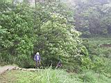 132-3256_IMG.JPG