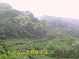 132-3257_IMG.JPG