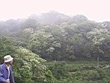 132-3258_IMG.JPG