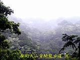 132-3260_IMG.JPG