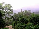 132-3263_IMG.JPG
