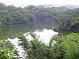 132-3278_IMG.JPG
