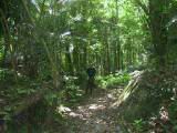 133-3322_IMG.JPG