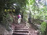 133-3324_IMG.JPG