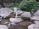 133-3336_IMG.JPG