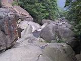 133-3338_IMG.JPG