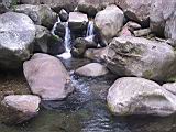 133-3339_IMG.JPG