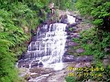 133-3362Txt_IMG.JPG