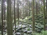 133-3398F_IMG.JPG