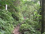 133-3398H_IMG.JPG