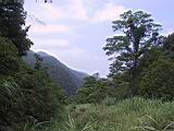 134-3402_IMG.JPG