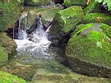 134-3409_IMG.JPG