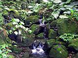 134-3410_IMG.JPG