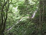 134-3411_IMG.JPG