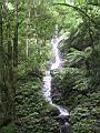 134-3412_IMG.JPG