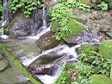 134-3418_IMG.JPG