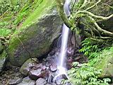 134-3419_IMG.JPG