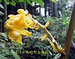 134-3426_IMG.JPG