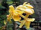 134-3427_IMG.JPG