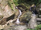 134-3431_IMG.JPG
