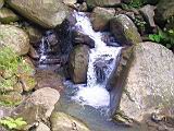 134-3432_IMG.JPG