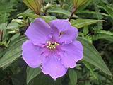 135-3566_IMG.JPG