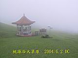 135-3570_IMG.JPG