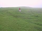 135-3571_IMG.JPG