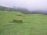 135-3572_IMG.JPG
