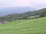 135-3578_IMG.JPG