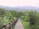 135-3581_IMG.JPG