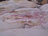 135-3591_IMG.JPG