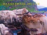 135-3593_IMG.JPG